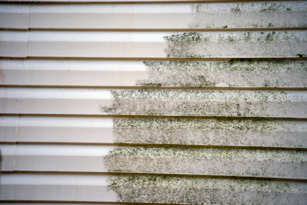 Best Demolition Debris Removal  in Vienna, GA